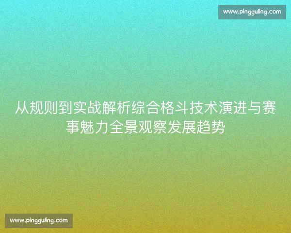 从规则到实战解析综合格斗技术演进与赛事魅力全景观察发展趋势